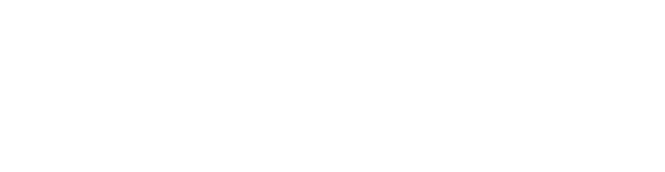 Professional Services - Negativo - Vertical@4x